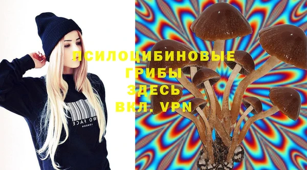 прущая мука Богданович