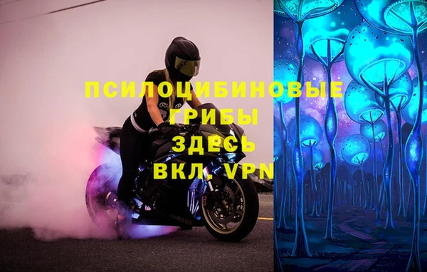 гидропоника Саяногорск