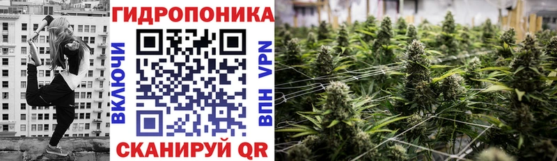 Каннабис Bruce Banner  Павловск 